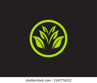 leaf green nature logo and symbol template Vector 
