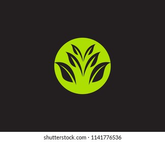 leaf green nature logo and symbol template Vector 
