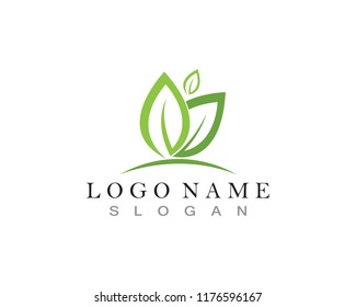 leaf green nature logo and symbol template