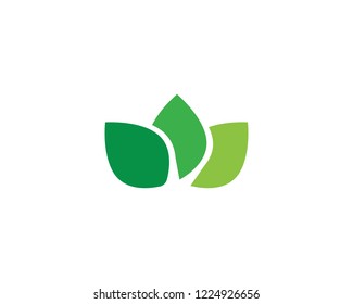 leaf green nature logo and symbol template Vector 
