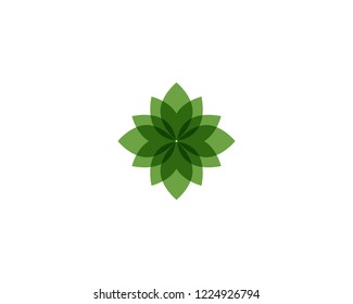 leaf green nature logo and symbol template Vector 
