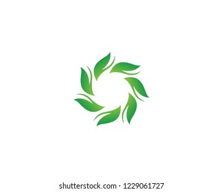 leaf green nature logo and symbol template Vector 