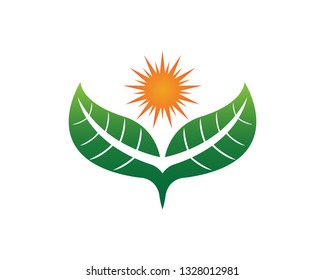 Leaf Green Nature logo and symbol template Vector 