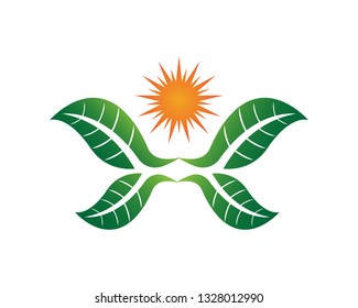 Leaf Green Nature logo and symbol template Vector 