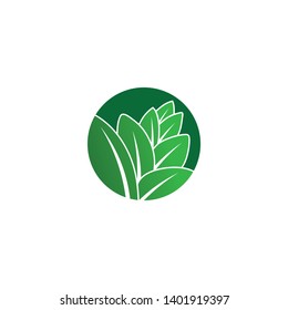 leaf green nature logo and symbol template Vector 