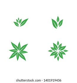 leaf green nature logo and symbol template Vector 