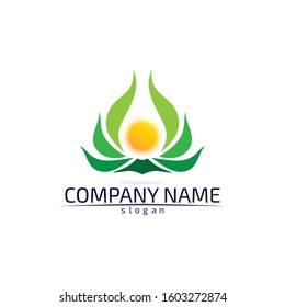 leaf green nature logo and symbol template Vector 