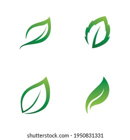 Leaf green nature logo and symbol