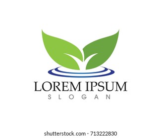 leaf green nature logo and symbol