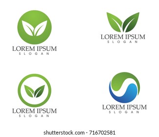 leaf green nature logo and symbol template Vector 