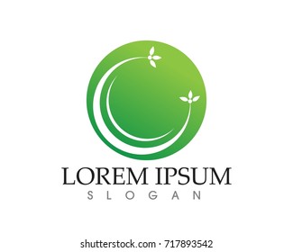 leaf green nature logo and symbol template Vector 