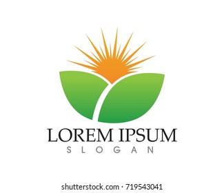 leaf green nature logo and symbol template Vector r 