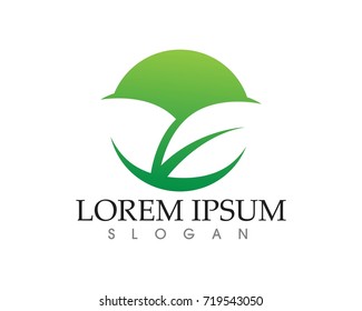leaf green nature logo and symbol template Vector r 