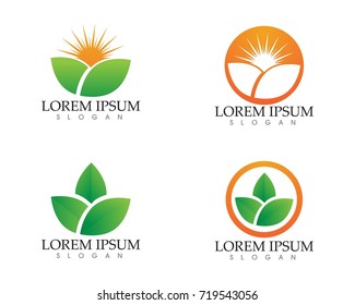 leaf green nature logo and symbol template Vector r 