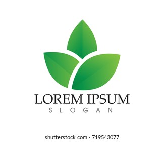 leaf green nature logo and symbol template Vector r 