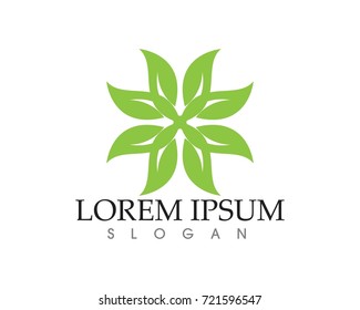 leaf green nature logo and symbol template Vector 