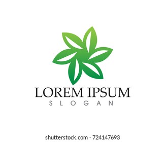 leaf green nature logo and symbol template Vector 