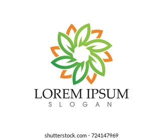 leaf green nature logo and symbol template Vector 