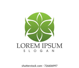 leaf green nature logo and symbol template Vector 