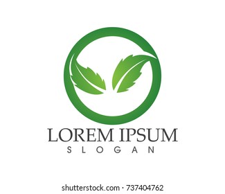 leaf green nature logo and symbol template Vector 