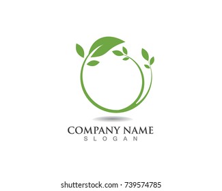 leaf green nature logo and symbol template Vector 