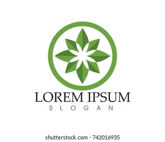 leaf green nature logo and symbol template Vector 