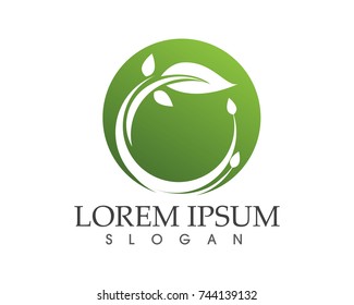 leaf green nature logo and symbol template Vector 