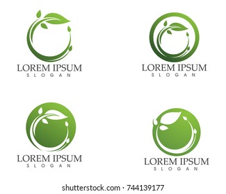 leaf green nature logo and symbol template Vector 