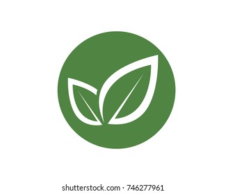 leaf green nature logo and symbol template Vector 