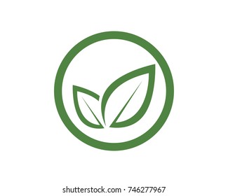 leaf green nature logo and symbol template Vector 