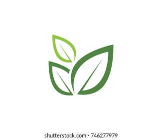 leaf green nature logo and symbol template Vector 