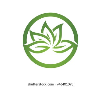leaf green nature logo and symbol template Vector 