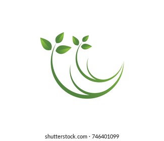 leaf green nature logo and symbol template Vector 