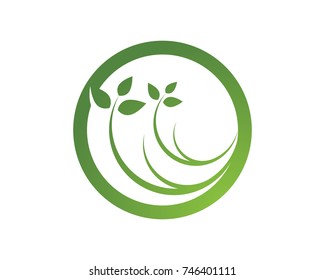 leaf green nature logo and symbol template Vector 