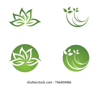 leaf green nature logo and symbol template Vector 