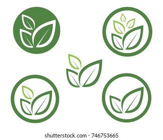 leaf green nature logo and symbol template Vector 