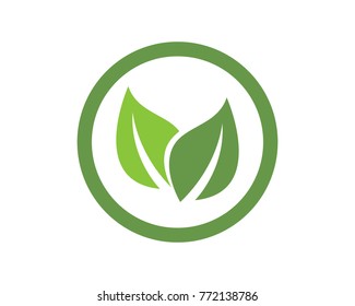 leaf green nature logo and symbol template Vector 
