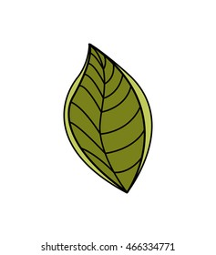 leaf green nature plant icon. Isolated and flat illustration. Vector graphic