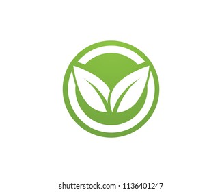 leaf green nature and symbol template Vector 