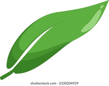 leaf green nature vector illustration