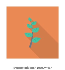  leaf green plant