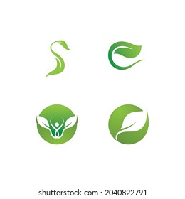 Leaf green plant logo fresh vector template