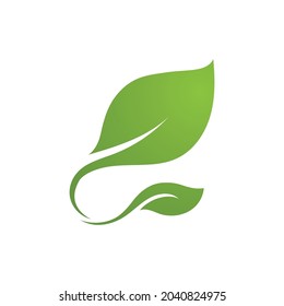 Leaf green plant logo fresh vector template