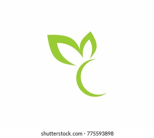 Leaf Green Symbol Nature Butterfly Concept Stock Vector (Royalty Free ...