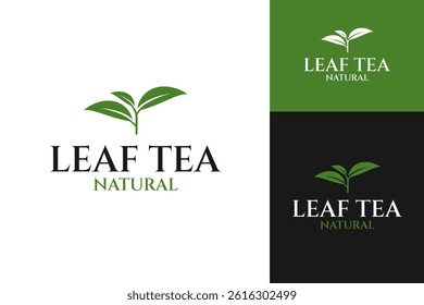 Leaf green tea logo design template vector illustration