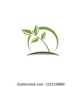 leaf green and tree logo template