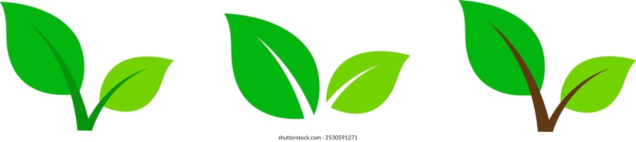 Leaf, Green, Vector, Plant, Sprout 