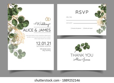 leaf greenery eucalyptus branches decorative. Vector elegant watercolor rustic template