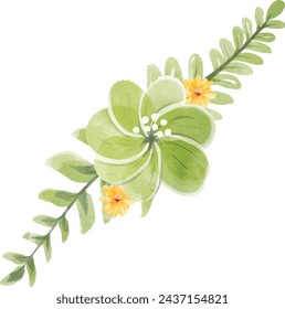 leaf, greenery, pack, rose, watercolor, wedding, botanical, foliage, gift, illustration, flower