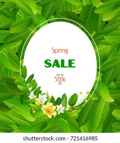 leaf greens spring background vectors